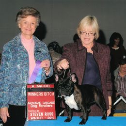 French Bulldogs from Baohuao Farms FBD