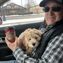 Goldendoodle Puppies from Stone Hearth Doodles