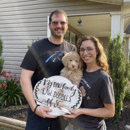 Golden Aussiedoodle and Goldendoodle Puppies from Law Doodles of SC