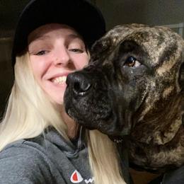 Boerboels from Sentry Boerboels