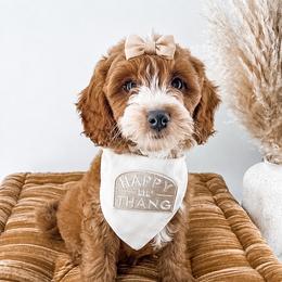 It's The Little Things- Warm Cookies - Red  female Goldendoodle puppy in Russell Springs, Kentucky from Milk & Honey Doodles