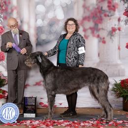 Candle - Irish Wolfhound