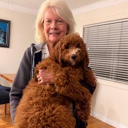 Sweet Lovable Sophie - Red  female Goldendoodle puppy in Lancaster, California from Kid's Best Doodle