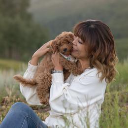 Goldendoodle Puppies from Sunnydoodle Utah