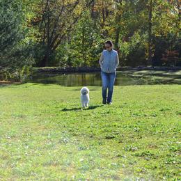 Poodle Puppies from D and D Standard Poodles