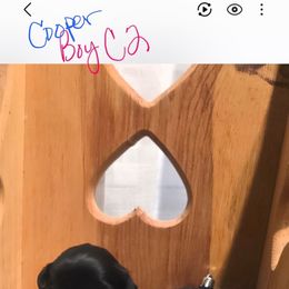 Cobalt - Black male Miniature Schnauzer puppy in Charleston, South Carolina from The Miniature Life