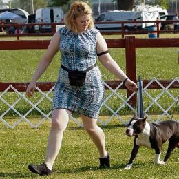 American Bullies and American Staffordshire Terriers from Marketabulls N Staffs