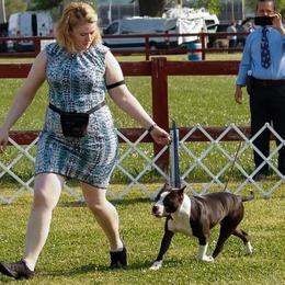 American Bullies and American Staffordshire Terriers from Marketabulls N Staffs