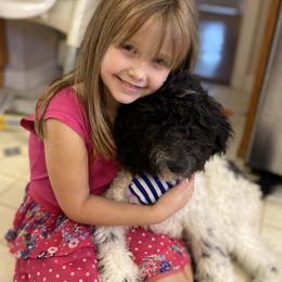 Goldendoodles from Mickey and Molly-Multi-Gen Goldendoodles