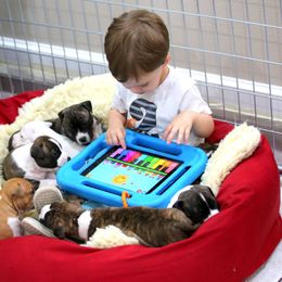 American Foxhound and American Staffordshire Terrier Puppies from Whitlow Kennel