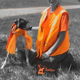 Kidd - German Shorthaired Pointer