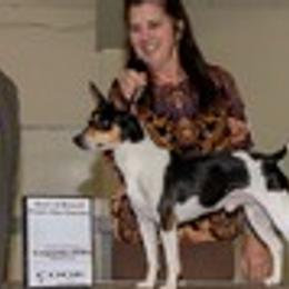 FETCH - Rat Terrier