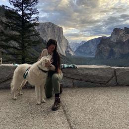 Great Pyrenees All Grown Up from The Yosemite Pyrenees Ranch