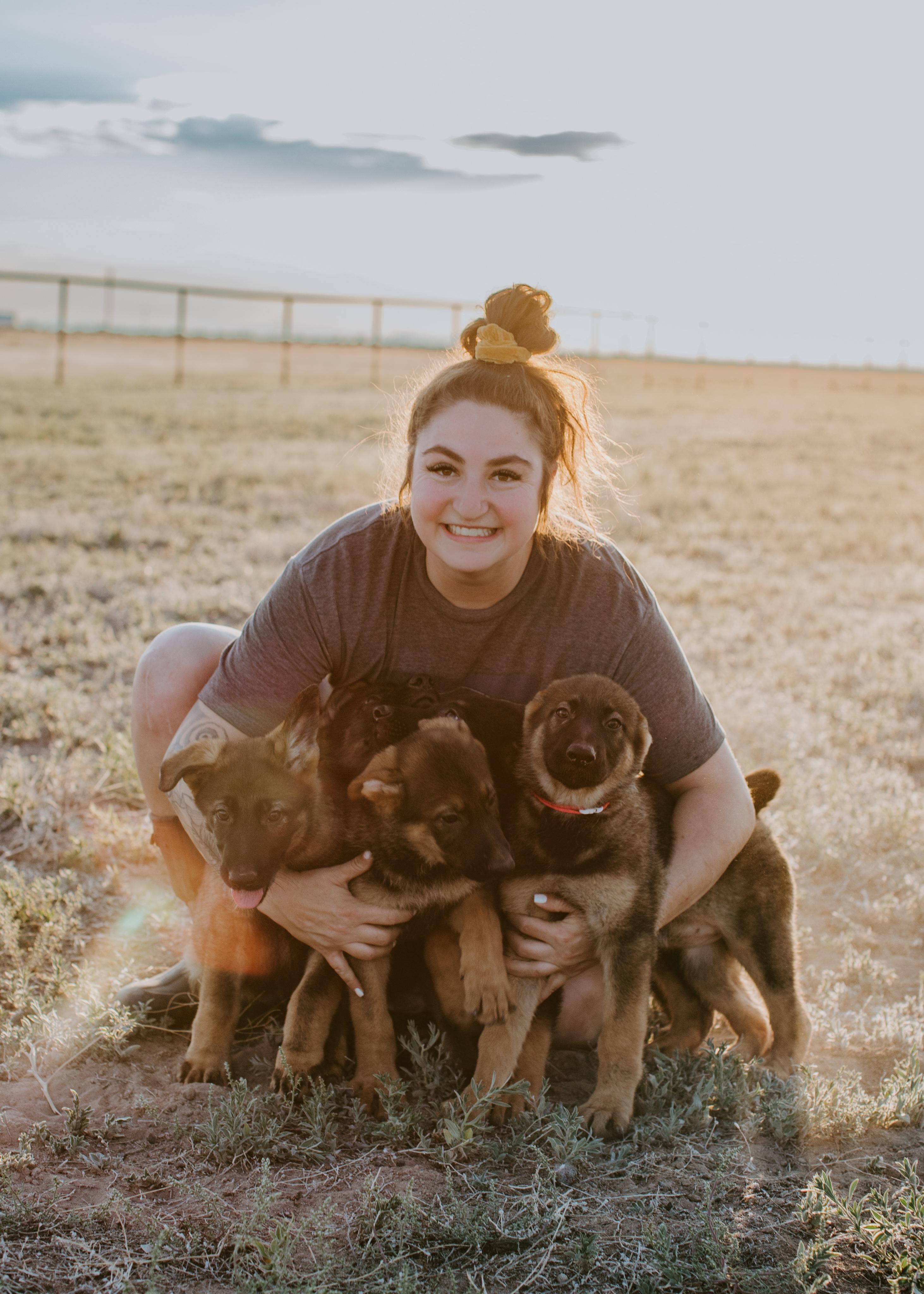 Von Den Mächtigen Kennels in Utah German Shepherd puppies Good Dog