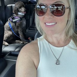 Cockapoo, Goldendoodle, and Poodle All Grown Up from Clad Doodles
