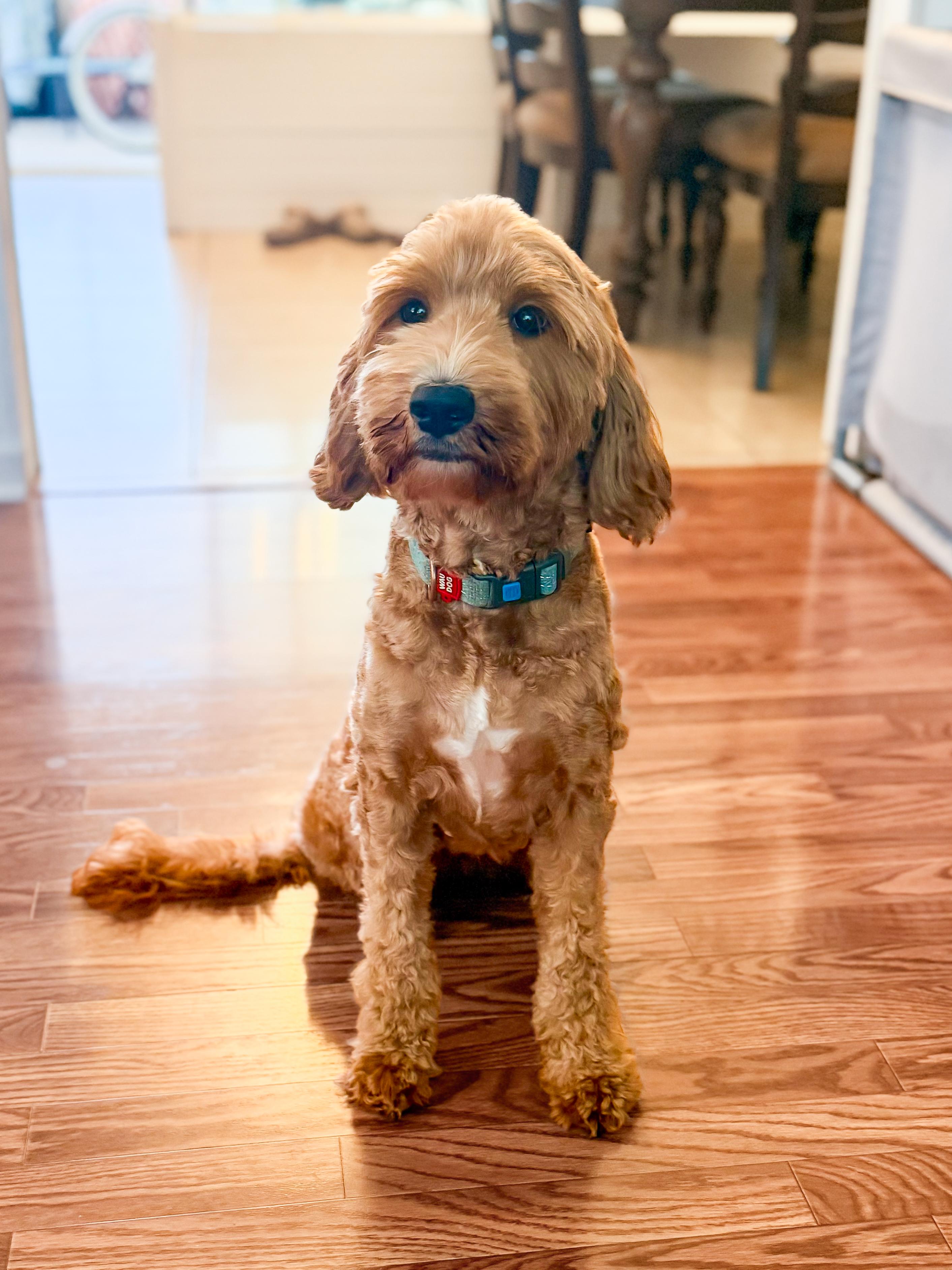 Kaia