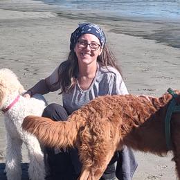Goldendoodles from Todd Family Homestead