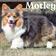 Motley