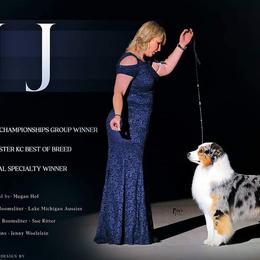 Australian Shepherds from Lk Michigan BIS Champion Aussies