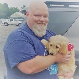 Goldendoodle Puppies from South Paw Doodles