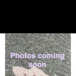 Pending - Cream and white female Chihuahua puppy in Paradise, Texas from KCL Pups