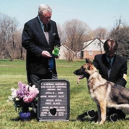 German Shepherd All Grown Up from Tonor-Steffca German Shepherd dogs