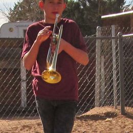 Rat Terrier Puppies from Dynamite Rat Terriers