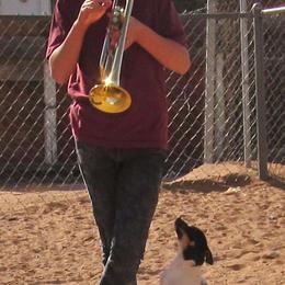 Rat Terrier Puppies from Dynamite Rat Terriers
