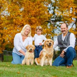 Golden Retriever Puppies from SUN-GOLDEN KENNELS