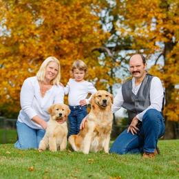 Golden Retriever Puppies from SUN-GOLDEN KENNELS