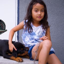 Rottweiler Puppies from Von Der Hing Rottweilers