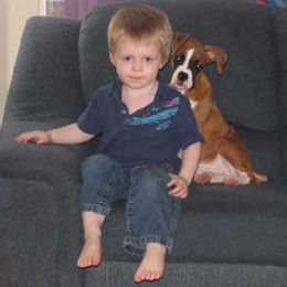 Boxer Puppies from CinniBon Boxers