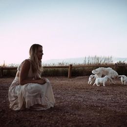 Golden Retriever Puppies from Vera Mountain Goldens