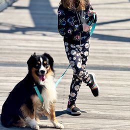 Kane - Miniature Australian Shepherd