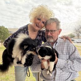 Australian Shepherd Puppies from Firelight Australian Shepherds