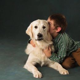 Golden Retrievers from Sunkissed Retrievers