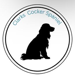 Cocker Spaniels from Clark’s Cocker Spaniels