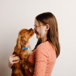 Cavalier King Charles Spaniel All Grown Up from Emerald Grove Puppies