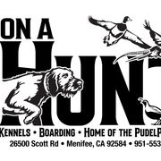 ON AHUNT KENNELS - Liver female Pudelpointer puppy in Meniffee, California from On a hunt kennels