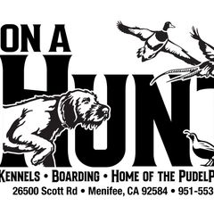 ON AHUNT KENNELS - Liver female Pudelpointer puppy in Meniffee, California from On a hunt kennels
