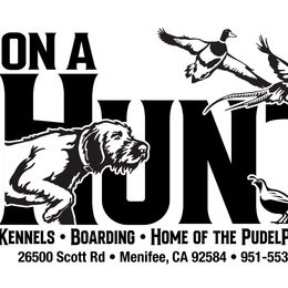 ON AHUNT KENNELS - Liver female Pudelpointer puppy in Meniffee, California from On a hunt kennels