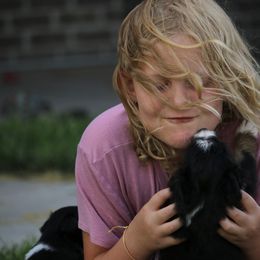 Australian Shepherd, Miniature American Shepherd, Miniature Australian Shepherd, and Toy Australian Shepherd Puppies from Painted Blue Aussies