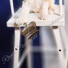 Cockapoo Puppies from Royal Cockapoo Playhouse