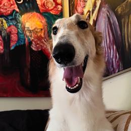 Eureeka - Borzoi