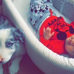 Border Collie Puppies from Cascade Sun Kennels