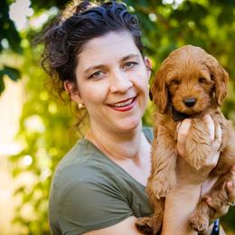 Black Panther - Red  Goldendoodle puppy in Centerville, Utah from Dean Doodles