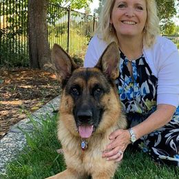 German Shepherds from Vom Ketscher German Shepherd Kennel