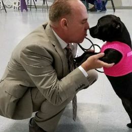 Staffordshire Bull Terriers from Stone Cold Staffordshire Bull Terriers