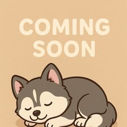 Frost - White male Pomsky puppy in Coos Bay, Oregon from Ocean View Pomskies