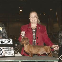 Dachshund All Grown Up from Karmas Dachshunds